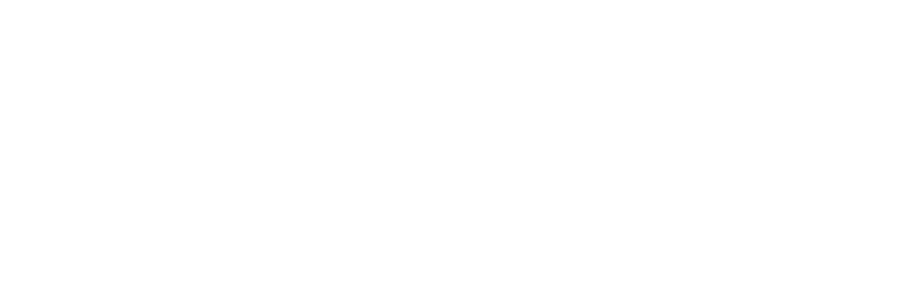RenaVie Skin